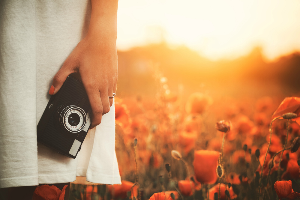 Top 5 Tips to Take Professional Photos