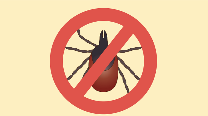 A Guide to Get Tick Prevention for Your Yard