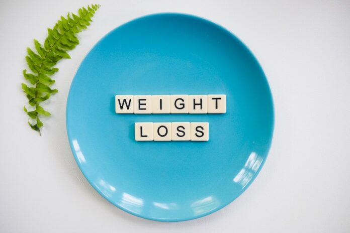 Diet Plans You Should Look Into When Losing Weight
